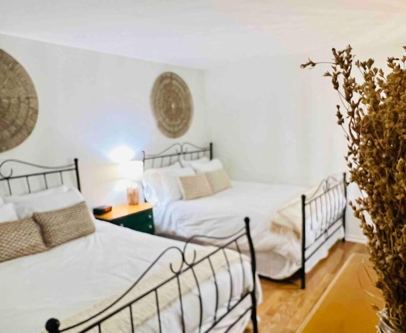Apartamento P tit Boréal- 2 minutes de la Plage Memphrémagog Exterior foto