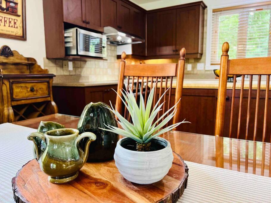 Apartamento P tit Boréal- 2 minutes de la Plage Memphrémagog Exterior foto
